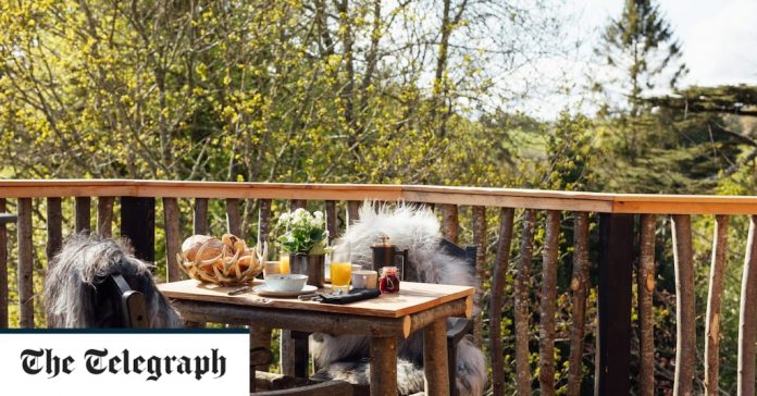 20 new UK glamping excursions with summer availability

