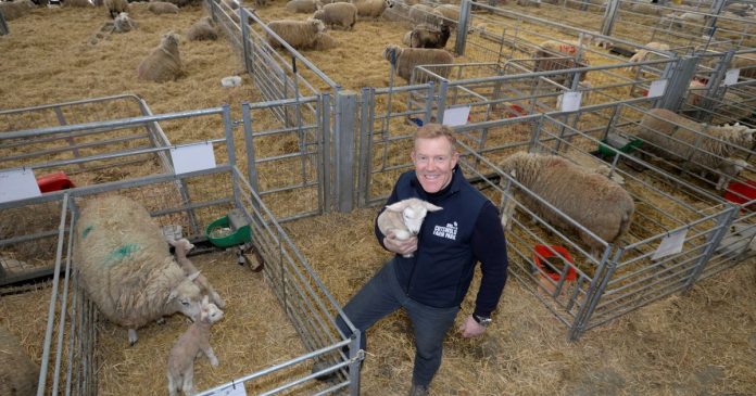 Adam Henson is ambassador for 'comeback' Three Counties Show
